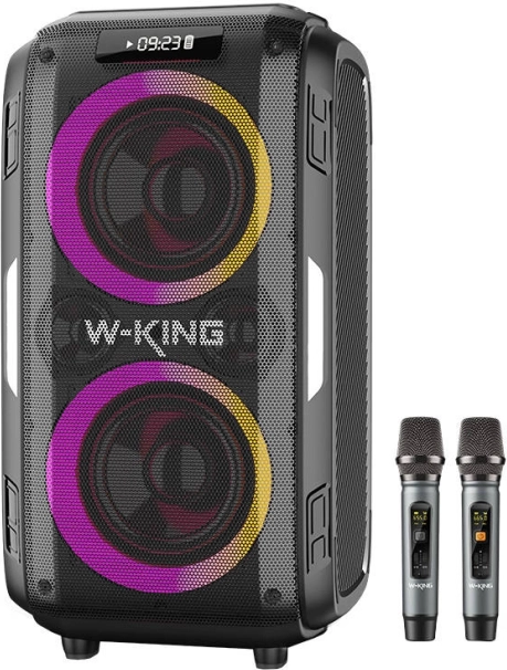 Brezžični zvočnik W-KING T9 Pro z močjo 120 W in 2 mikrofonoma – črn