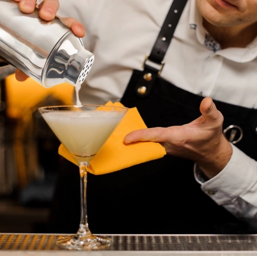 Profesionalen rezultat doma in v baru