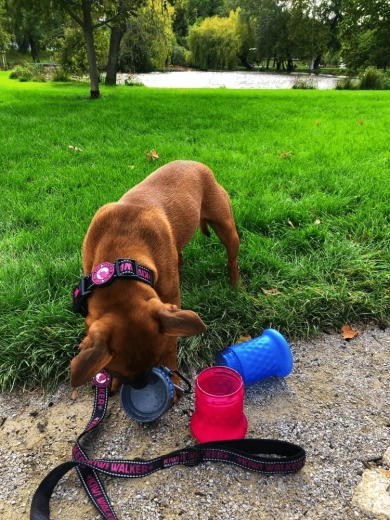 Potovalna posodica v hipu