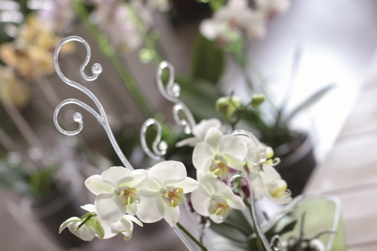 Dekorativna opora, ki poudari lepoto cvetov