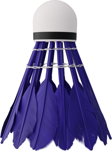 Hiter in stabilen let z račjim perjem