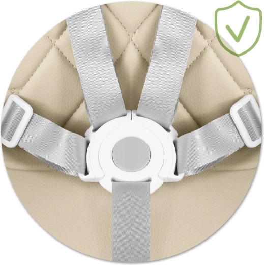 Maksimalna varnost s 5-točkovnim pasom