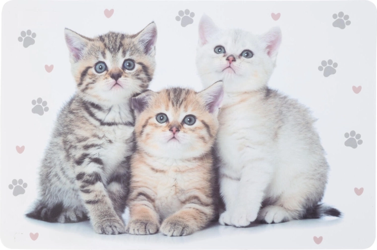 Plastični otroški pogrinjek z živalmi 43,5 × 28,5 cm