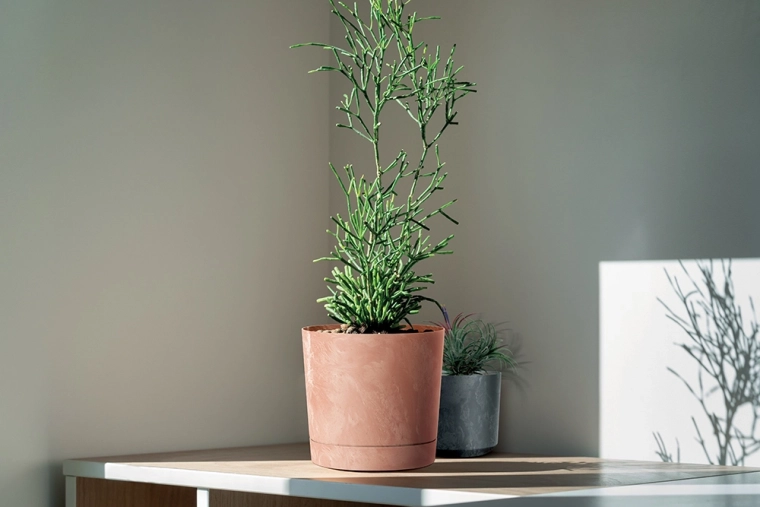 Primeren za notranje in zunanje prostore