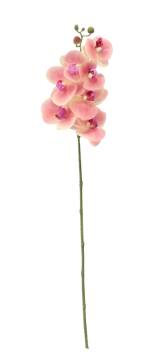 Dolžina 74 cm za elegantno aranžiranje