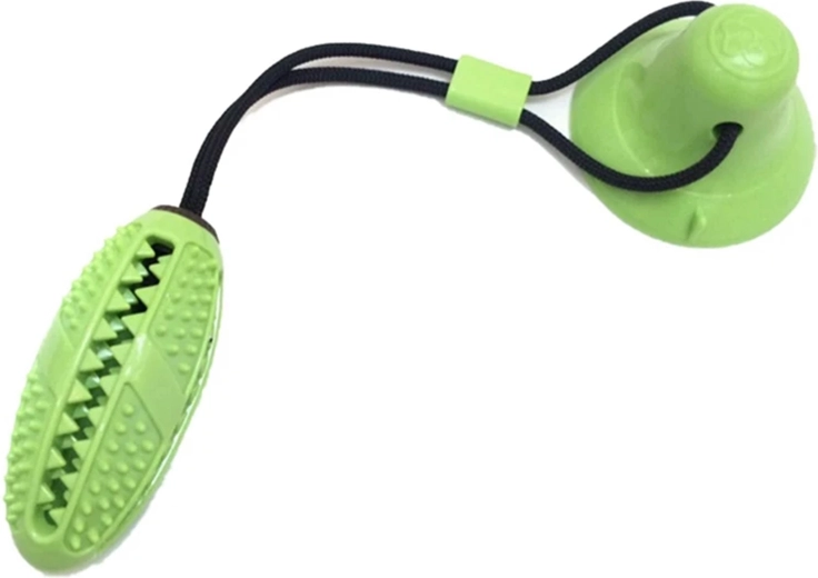 Čiščenje zob in masaža dlesni