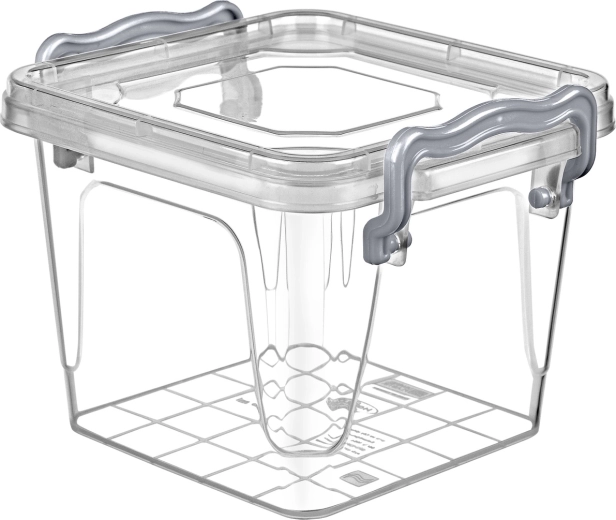 Posoda za živila Multi Box 0,55 l s sponkami