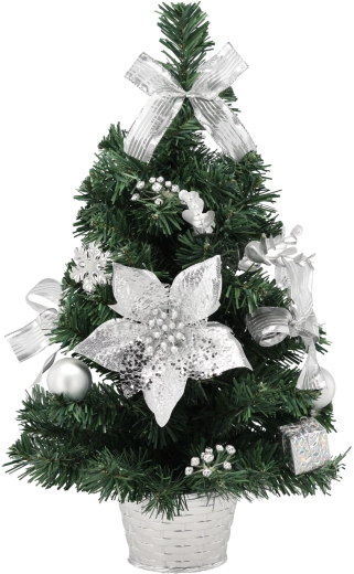 Srebrna božična smrečica 50 cm v lončku