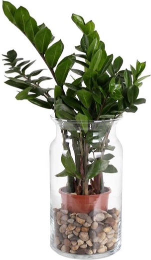 Steklena vaza Bose 15,5 × 29,5 cm