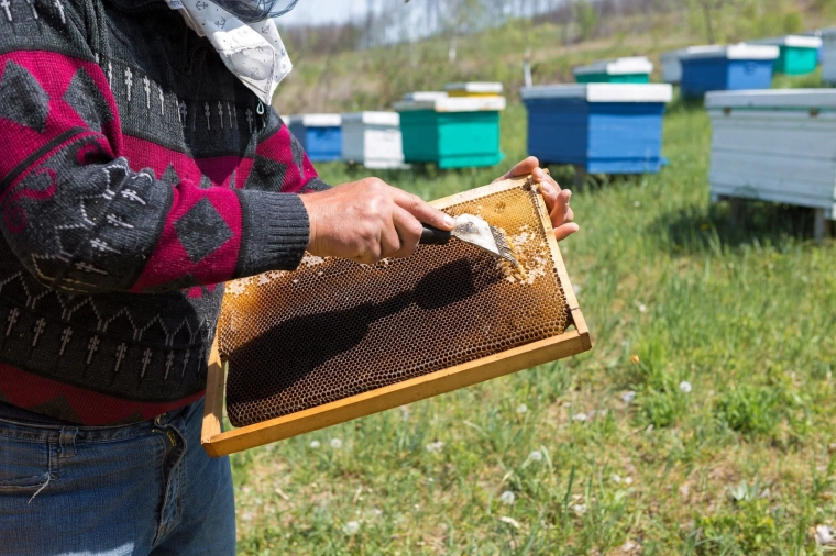 Hitrejše delo v čebelnjaku
