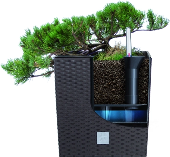 Pametno gojenje z notranjim vložkom