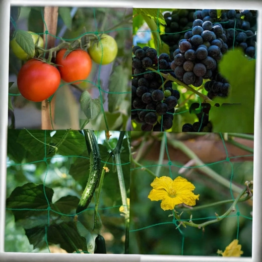 Univerzalna uporaba na vrtu in v rastlinjaku