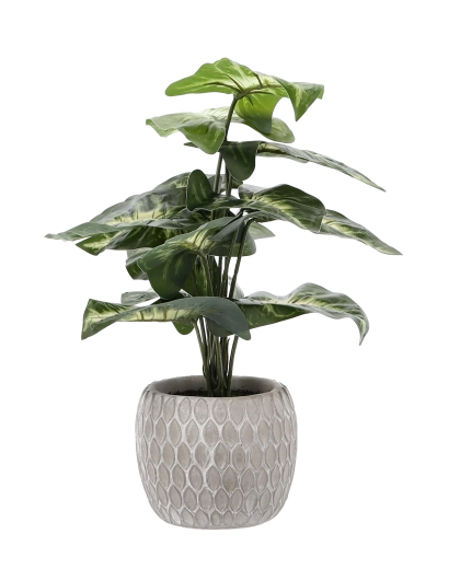 Stilski in stabilen lonček