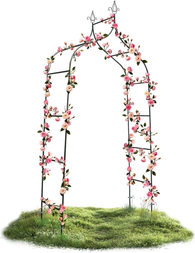 Popolna opora za vzpenjavke