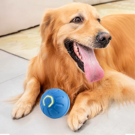 Vzdržljiva in varna zasnova za zobe in tačke