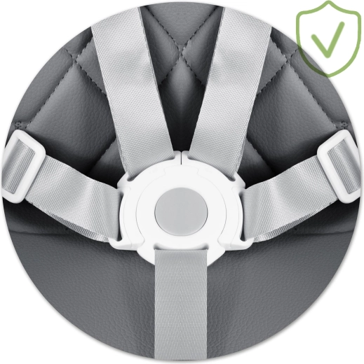 Najvišja varnost z 2-točkovnim pasom