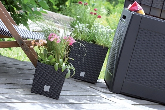 Sodoben ratan videz za vsak prostor