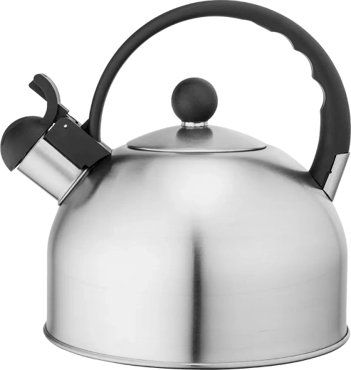 Nerjaveči čajnik Daily satin 2,5 l