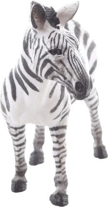 Idealna za pouk in zbirke