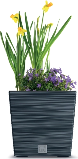 Za rastline v notranjih prostorih in na prostem