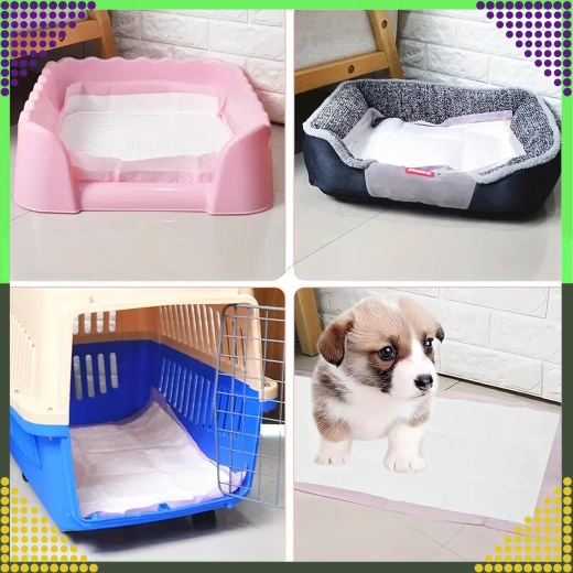 Vsakovrstna uporaba doma in na poti