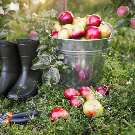 Univerzalna uporaba doma in na prostem