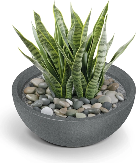 Sodoben granitno siv videz