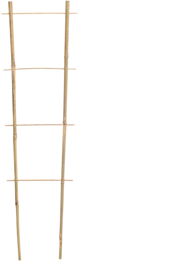 Bambusova vrtna opora 90 × 35 cm, premer 10/12 mm