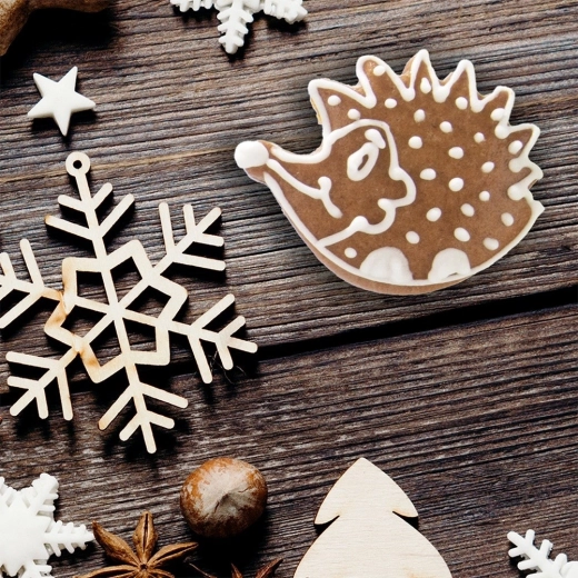 Božično okraševanje in darilni paketki