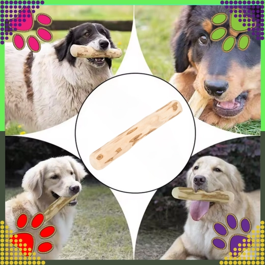 Zadovolji žvečilni nagon in podpira zobe