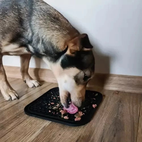 Anti-stress licking mat for calmer care