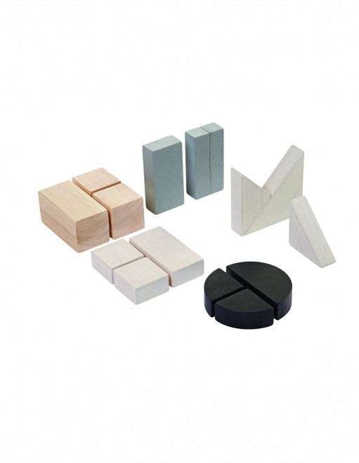 PlanToys wooden fraction blocks for learning fractions