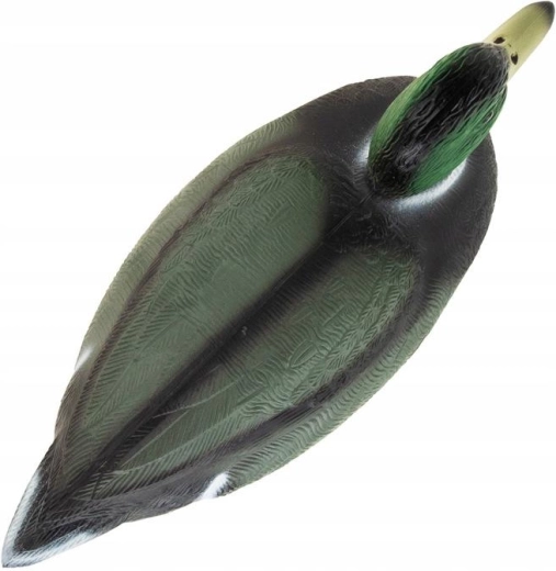 Plavajoča zasnova za ribnik