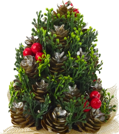 Realistični detajli storžev in jagod