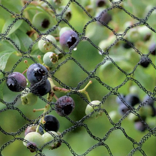 Zanesljiva zaščita pridelka in rastlin