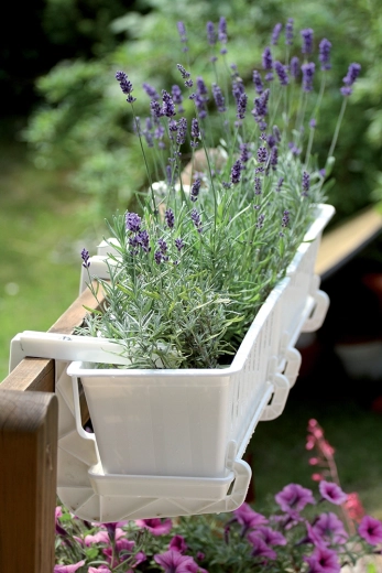 Čist dizajn za vsak prostor