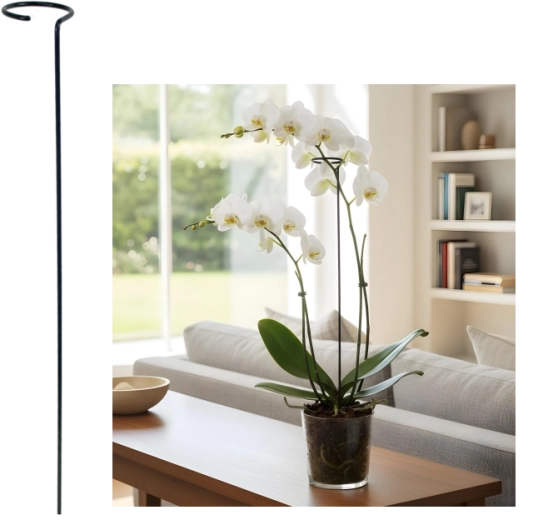 Preprosta opora za rastline 60 cm