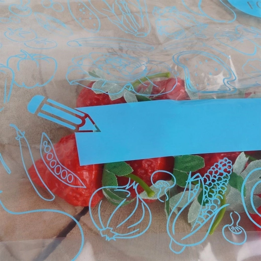 Pregledna vsebina in prostor za opis