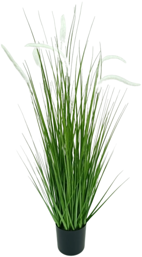Umetna trava Pennisetum v beli barvi v lončku, 90 cm