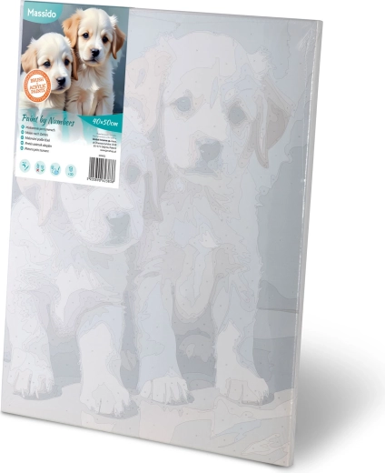 Predtiskano platno na okvirju – slikajte takoj