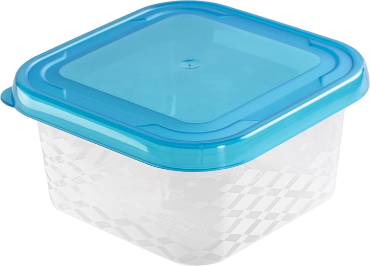 Kvadratna posoda za živila Blue Box 0,45 l