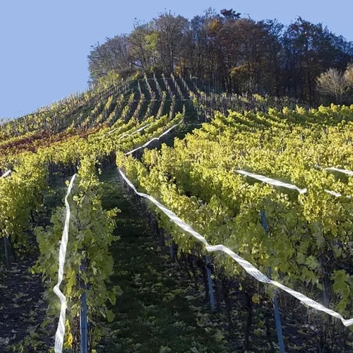Protection of crops and surroundings