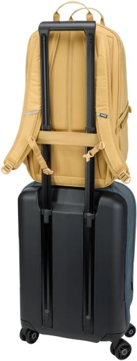 Comfort on the go