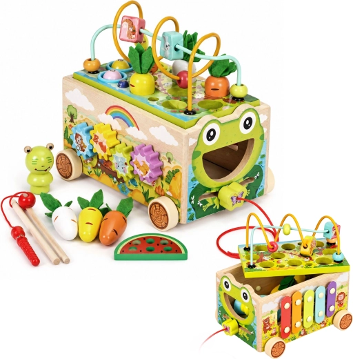 Wooden multifunctional activity cube with frog walker ECOTOYS