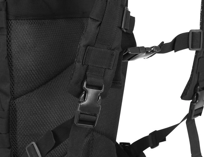 Carrying system with quick release and waist belt