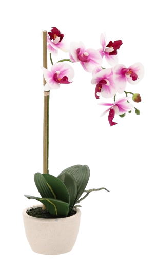 Naravno realistični cvetovi in listi