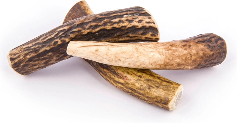 Dolgotrajno žvečenje brez vonja