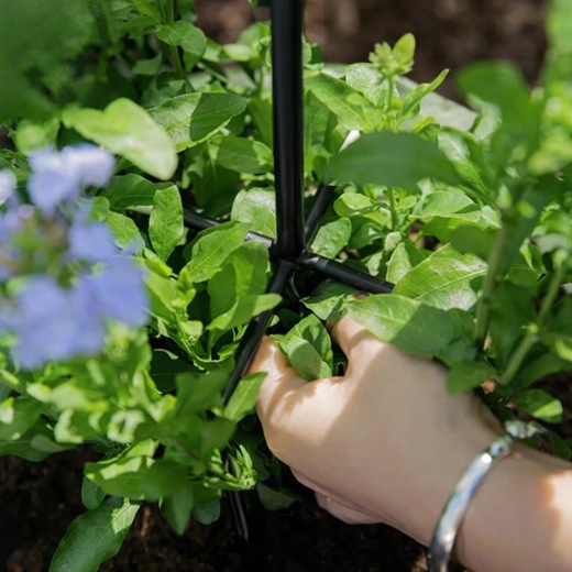 Stabilna podpora za bujno cvetenje