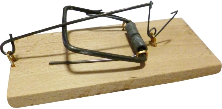 Lesena udarna past za miši iz bukovega lesa