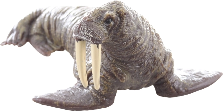 Idealno za učenje in zbiranje